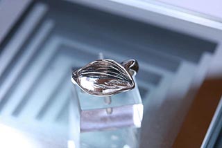 wシルバーリング13